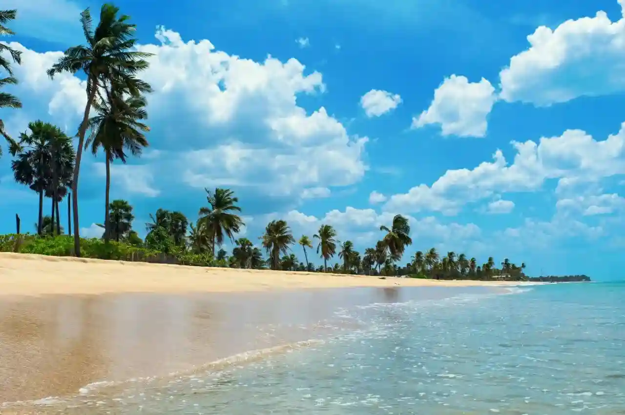 Scenic coastline view in Trincomalee