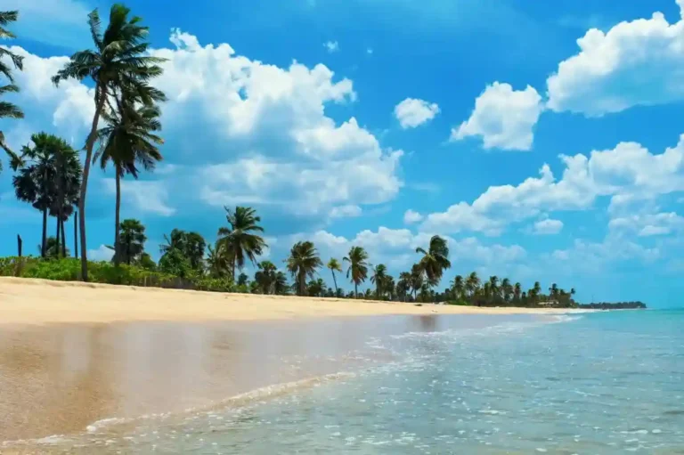 Scenic coastline view in Trincomalee