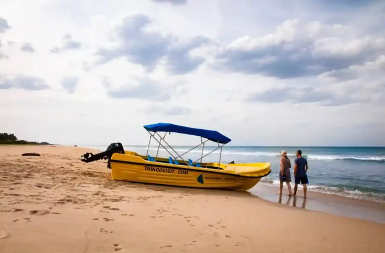 Yellow boat private tour